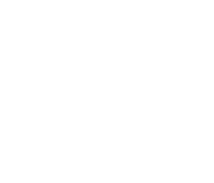 Patriot Place logo.